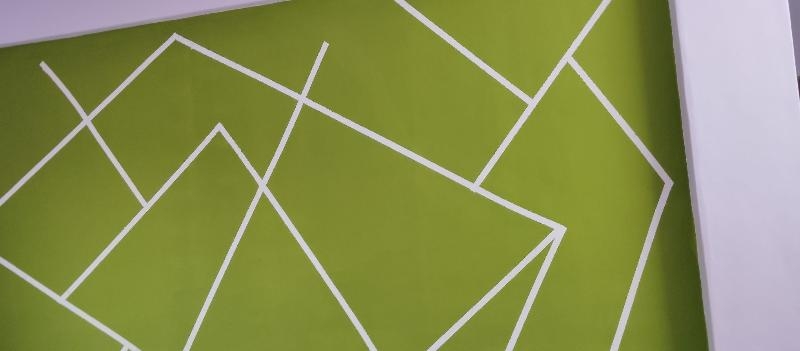 Shrivansh Home Painting Services -project-6