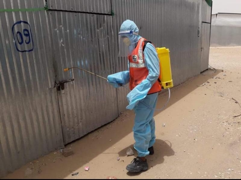 Majestic Pest Control Solution-project-2