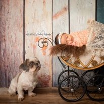 Baby Shoot By Mint & Peach Photography