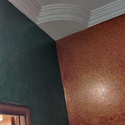 Work photos by Vinayaga Painting Services