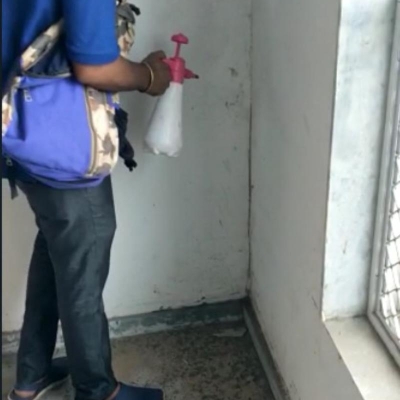 Default Project by Home Care Pest Solution