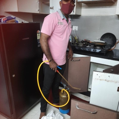 Work photos by Green Secure Pest Control