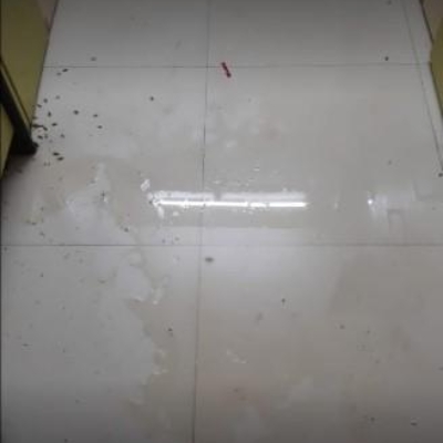 Work photos by Life Care Pest Control - CST BRANCH