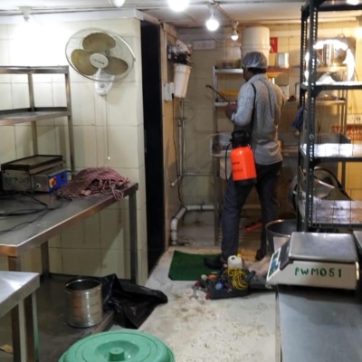 Work photos by 24 X 7 Pest Control (Gurgaon)