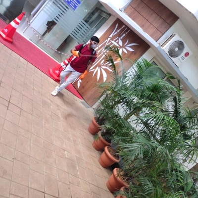 Work photos by LOYAL Pest Management Services 