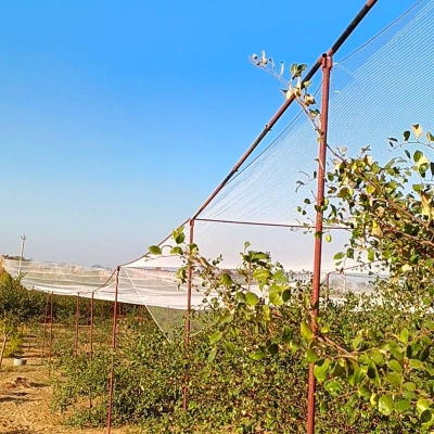 Default Project by Herbal Pest Control Service