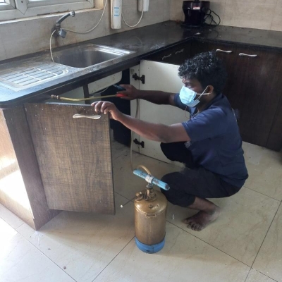 Work photos by ARK Pest Control