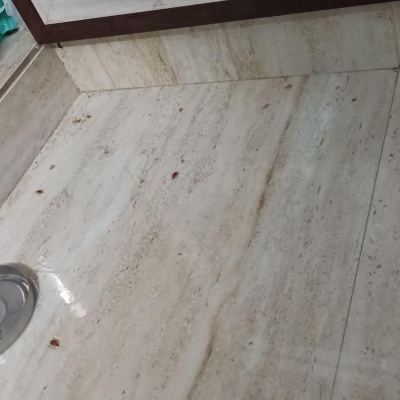 Work photos by SR Pest Control