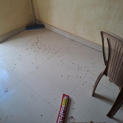 Default Project by Bharath Pest Control Services