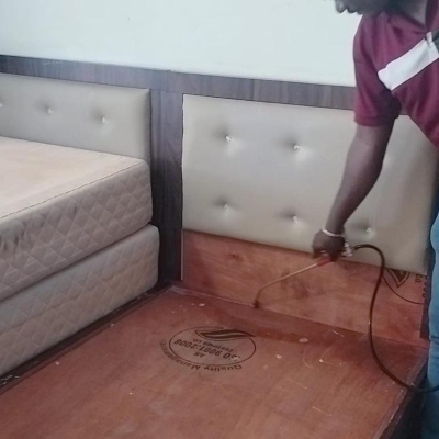Work photos by Dev Pest Control- PCMC