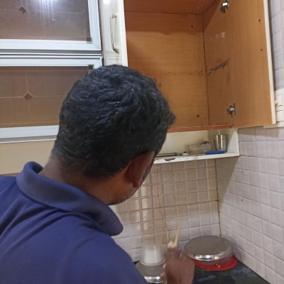 Default Project by Banushree Pest Control