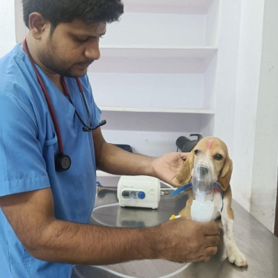 Default Project by Sniffers Pet Clinic