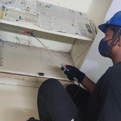 Default Project by Safe Life Pest Control