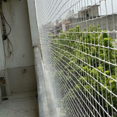 Default Project by Excellent Bird Control Service 