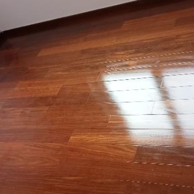Default Project by Laxmi Home Painting Services 