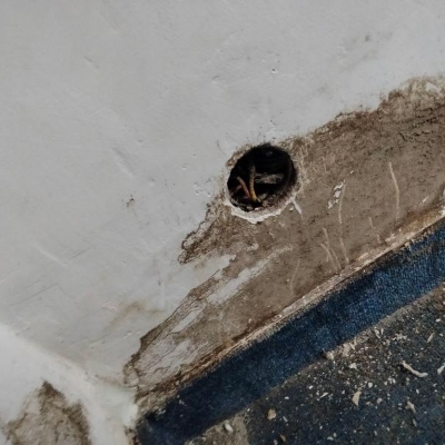 Default Project by IR PEST CONTROL 