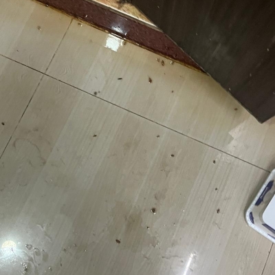 Default Project by Sai Pest Control Service