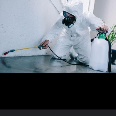 Work photos by Universal High Care Pest Management Services