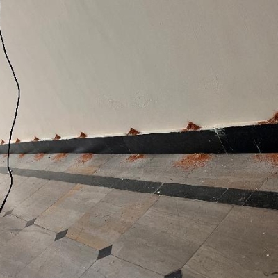 Default Project by Sai Pest Control Service