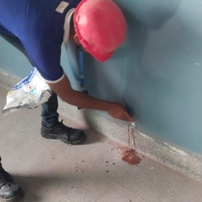 Default Project by The Pioneer Pest Solution - South
