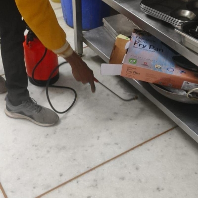 Default Project by Privents Pest Control & Insecticides Service