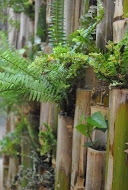 articles-image