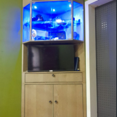 Interior Designer- Custom made TV Showcase & Kitchen Furniture