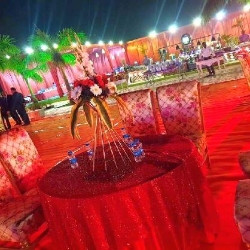 Balaji Wedding Planners-project-6