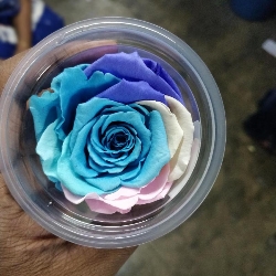 Blue Petals Florist-project-5