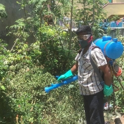 Professional Pest Management - Chennai-project-1