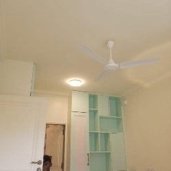 Patel Painting Solution-project-8