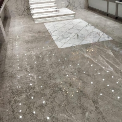 Vignesh  Marble Polishing Services-project-0