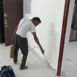 S.S  Cleaning  - Anna Nagar -project-2