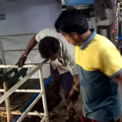 Sri Lakshmi Venkateshwara Septic Cleaning-project-7