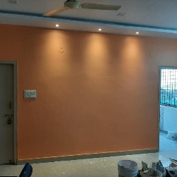 Rajesh Wall Painting Works-project-5