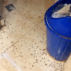 Active Pest Control India-project-9