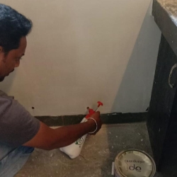 Happy Home Pest Control-Dadar Branch -project-5