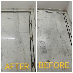 RR Floor Care -project-9