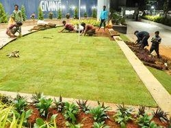Sri Ayappa Garden Grass Cutting-project-2